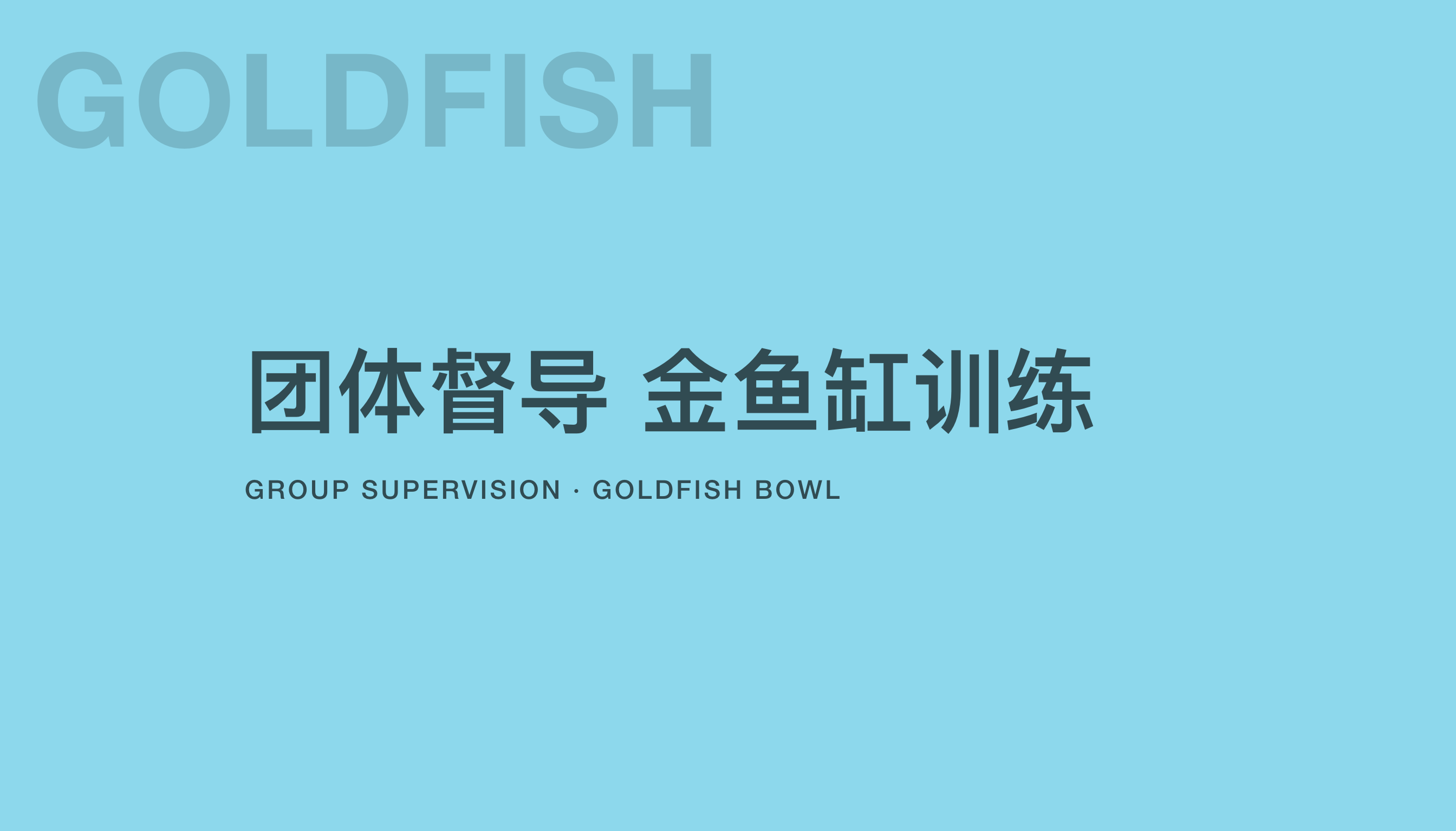 团体督导 金鱼缸训练