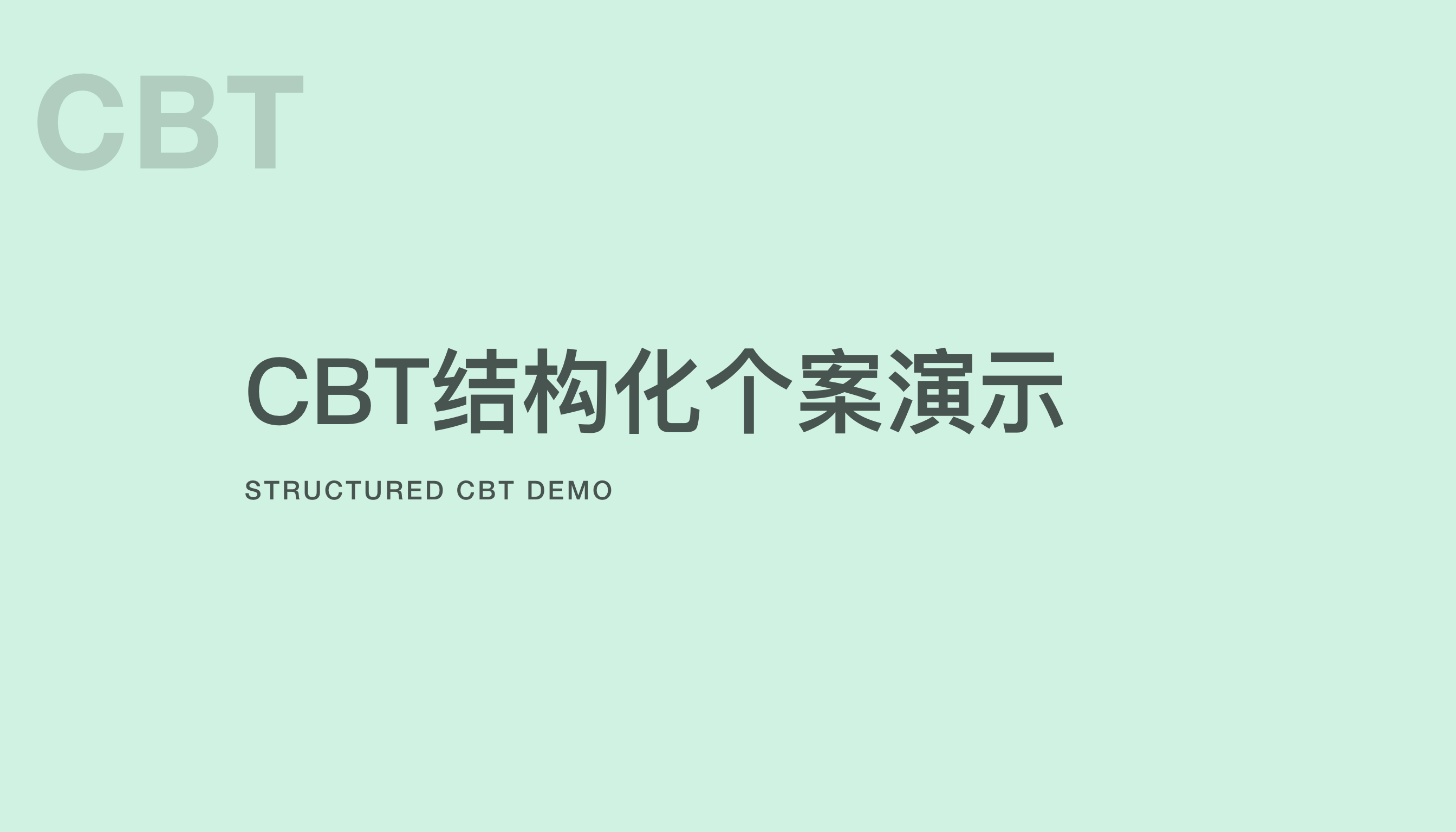 R法 &middot; CBT结构化个案演示